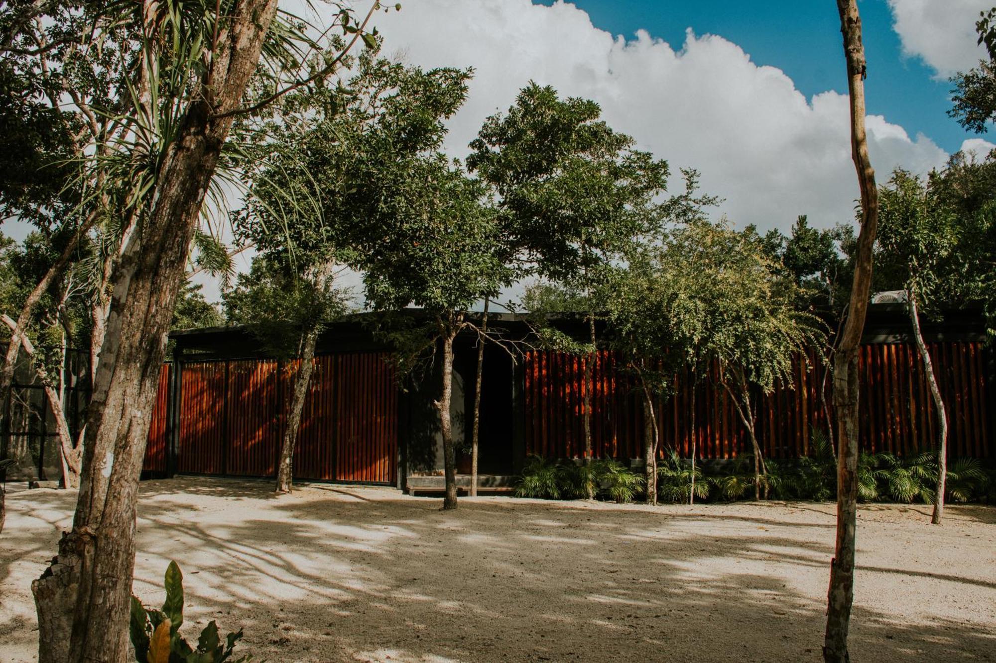 K Naj Community Cenote Residence Balcheil Extérieur photo